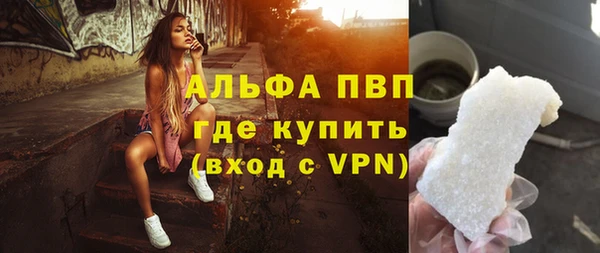 сатива Алексеевка
