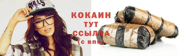 тгк Алзамай