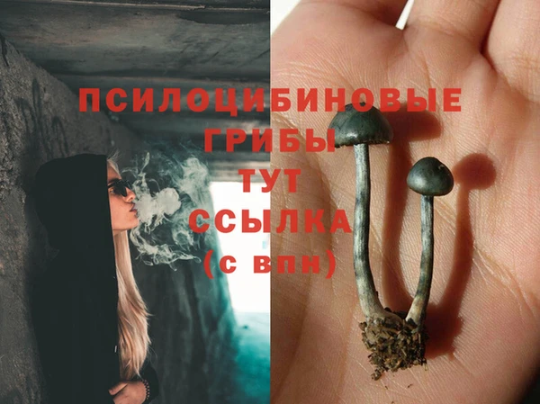 тгк Алзамай