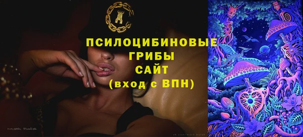 тгк Алзамай