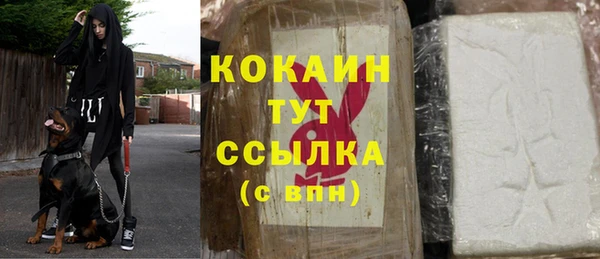 шишки Алексин