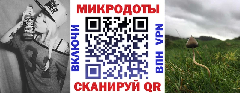 Галлюциногенные грибы прущие грибы  наркошоп  Лукоянов 